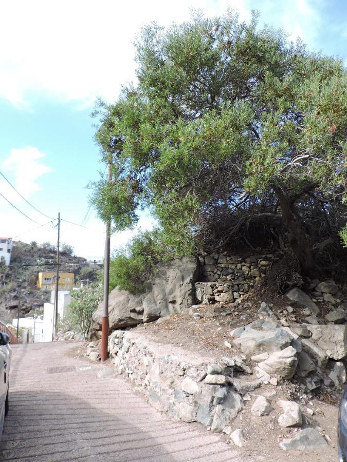 Villa Casa Lilia, En Taganana à Santa-Cruz de Ténérife Extérieur photo